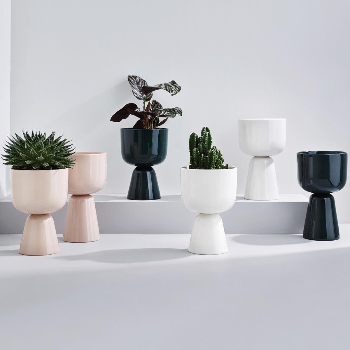 Amazon.co.jp: 【正規輸入品】 iittala(イッタラ) ナップラ プラント